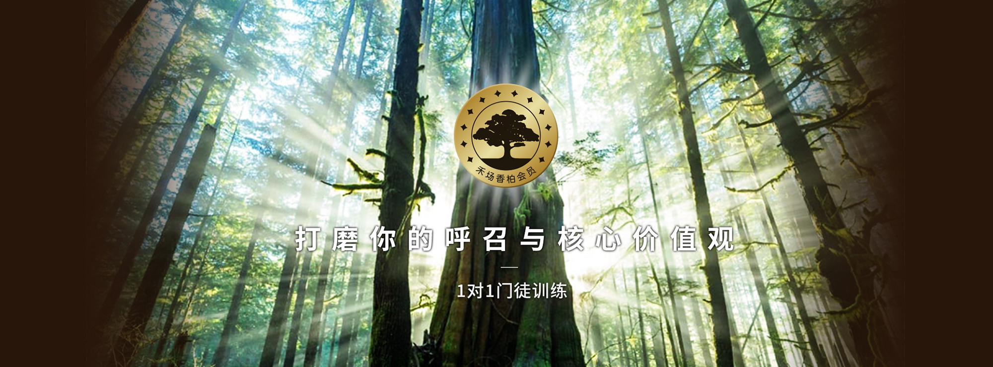 没有图片